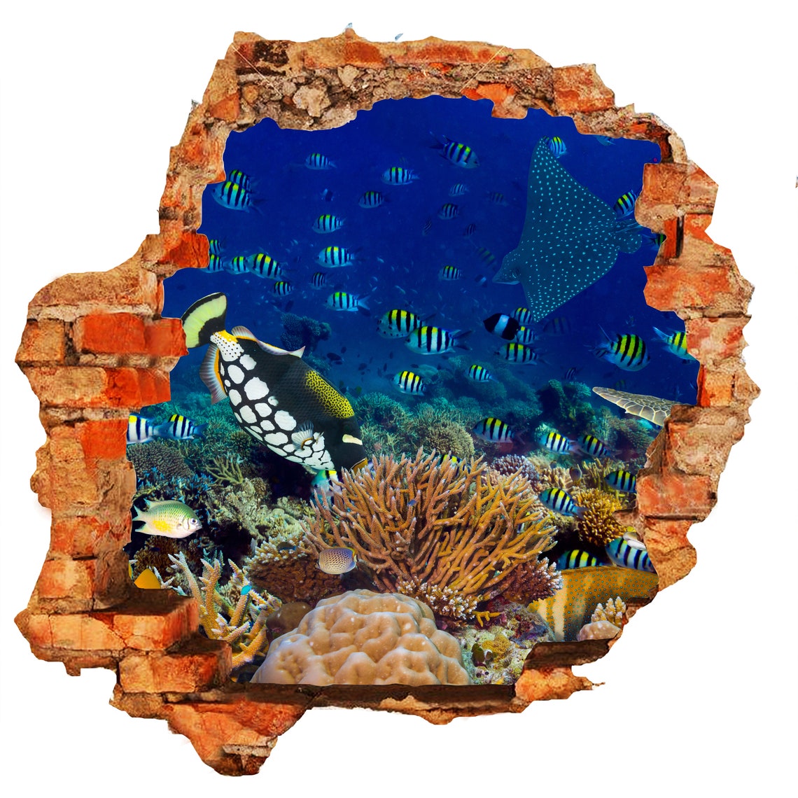 Aquarium Sticker Wall Decor Decal-3d Design-vinyl Home | Etsy