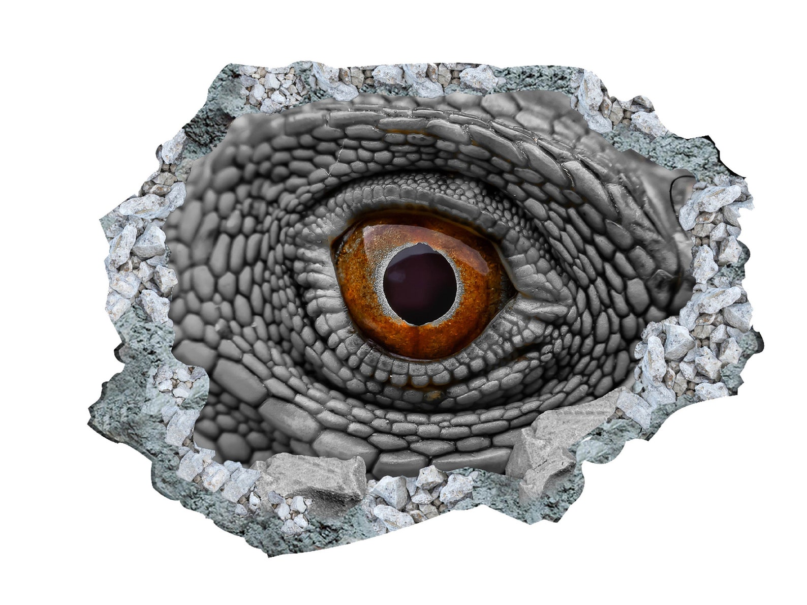 Eye Dinosaur Sticker Wall Decor3D StickersVinyl Home Etsy