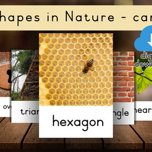 Formes dans la nature cartes imprimables téléchargement numérique ressource pré-k Montessori Reggio Emilia cartes d’environnement de classe pièces détachées formes