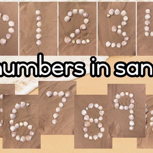 plage numéro cartes sable coquillages bord de mer 0-10 numéros imprimable EYFS ressource Montesssori Reggio emilia salle de classe ressource naturelle pièces détachées