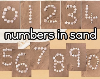 beach number cards sand shells seaside 0-10 numbers printable EYFS resource Montesssori Reggio emilia classroom natural resource loose parts