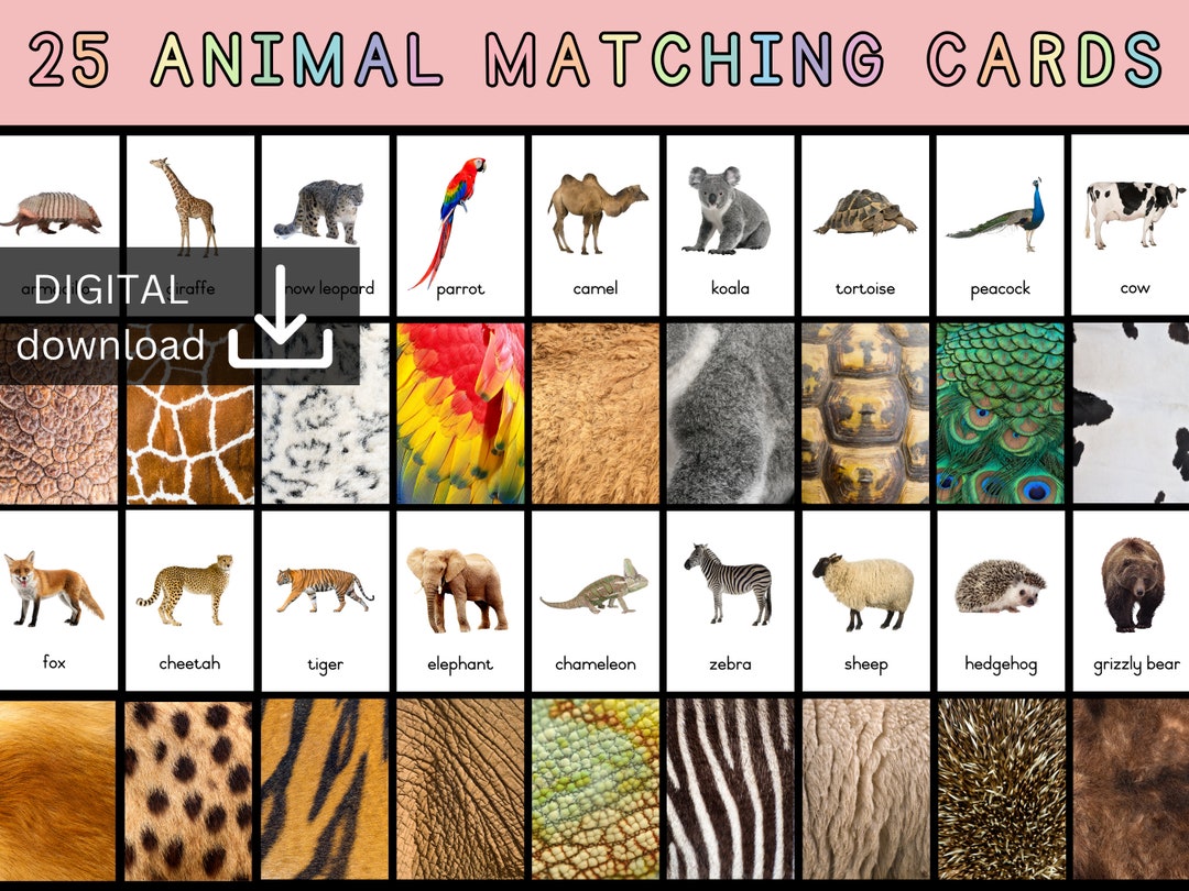 Animal Matching Cards Animal Games Match the Animals Animals of