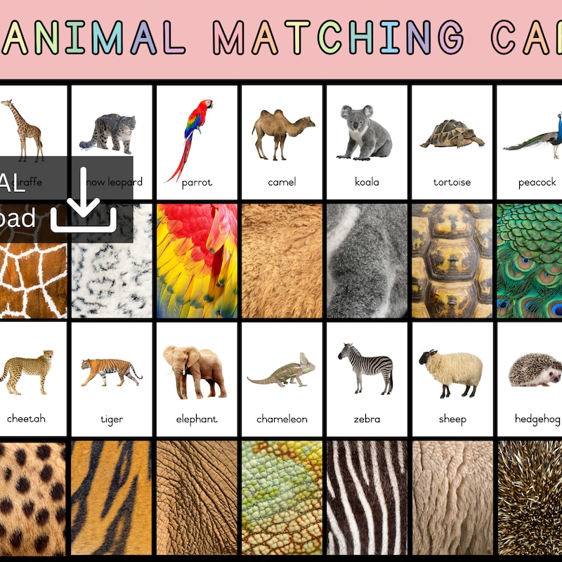 Activities Binder Pattern - Etsy UK