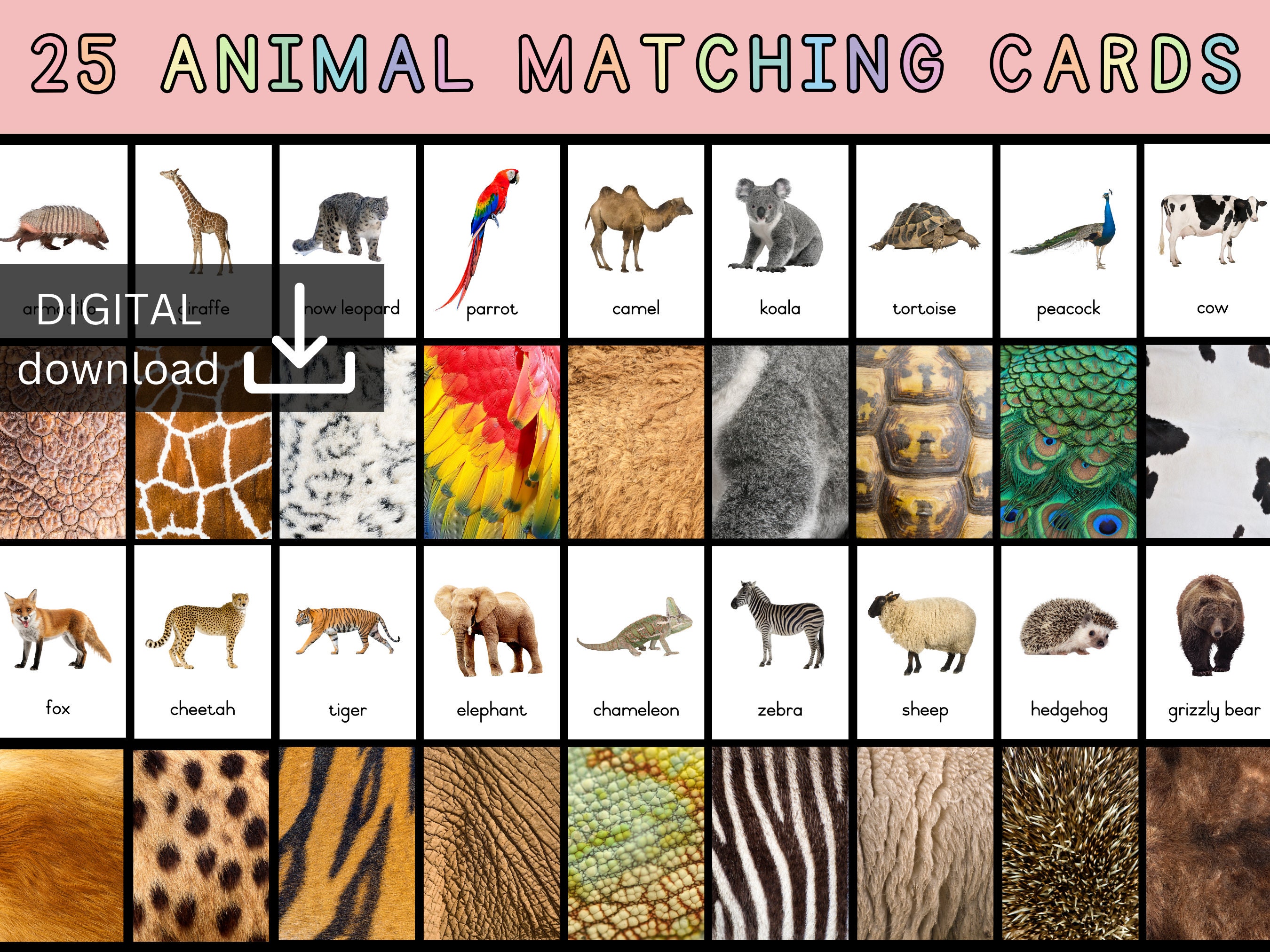 animal car　レコード 5枚セット Animal Matching Cards | Animal Games | Match the Animals | Animals