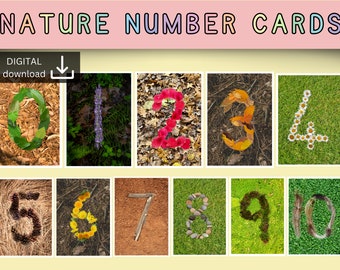 Tarjetas de números de naturaleza / tarjetas de piezas sueltas / reconocimiento de números / descarga imprimible / aula Montessori Reggio / ideas de escuelas forestales
