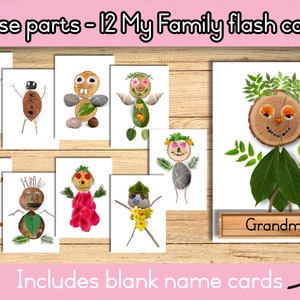 parti sciolte su di me, chi sono io stampabile, biglietti di attività stampabili della mia famiglia, modello di albero genealogico, reggio ha ispirato la mia vita e la mia famiglia