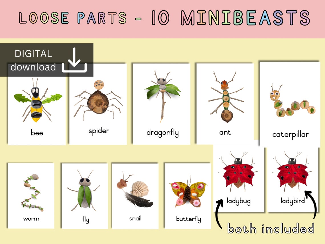 Loose Parts Mini Beast Activity | Insect Nature Card | Montessori ...