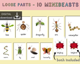 loose parts mini beast activity | insect nature card | Montessori Reggio inspired | autumn nature study  | forest school ideas