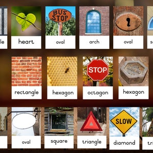 Natuurvormenkaarten afdrukbare vormlerende flashkaarten digitale download pre-k resource Montessori Reggio klaslokaalgeometrie losse onderdelen