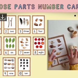 Losse onderdelen Nummerkaarten | 0-10 flashcards printbaar | digitale download EYFS-bron | Montessori Reggio klaslokaaldisplay | wiskunde beheersing