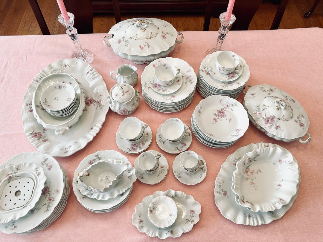 Antique Limoges Dinnerware Set Early 1900s A. Lanternier China Etsy