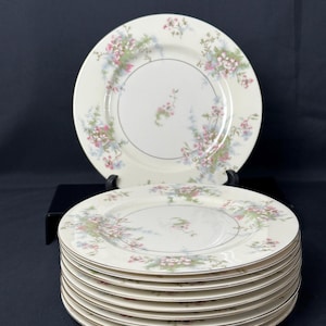 10 Theodore Haviland Apple Blossom Luncheon Plates
