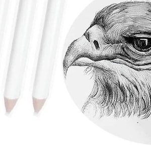 50-Piece Drawing & Sketching Art Set, Ultimate Artist Kit, Graphite,  Charcoal Pencils, 50-Piece Drawing Set - QFC