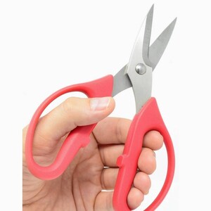 Puede incluir: Un par de tijeras de acero inoxidable con mangos rojos y punta afilada. Las tijeras se sostienen en una mano.