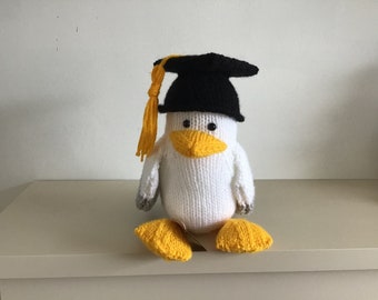 Sid the Graduate Seagull