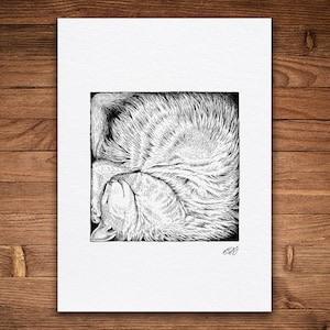 Gato durmiendo, impresión a pluma y tinta, 5 x 7, arte de naturaleza caprichoso, vintage en blanco y negro, arte de mascotas, cama para gatos