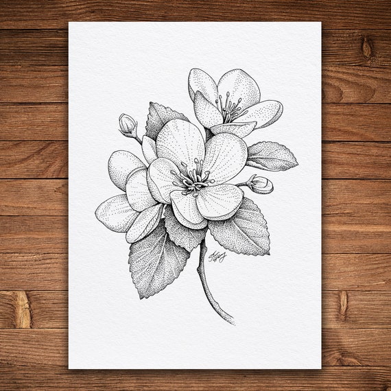 Apple blossoms flowers deals