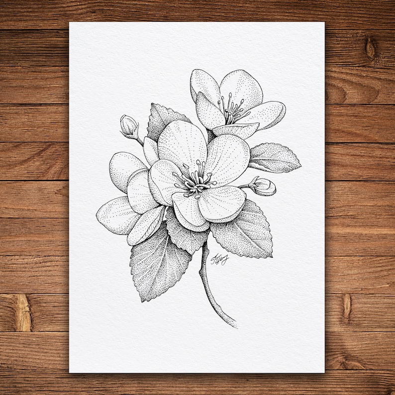 Apple Blossom Flowers, Pen and Ink Print, Floral and Nature Art, Black and White Vintage, Botanical Wall Art image 1