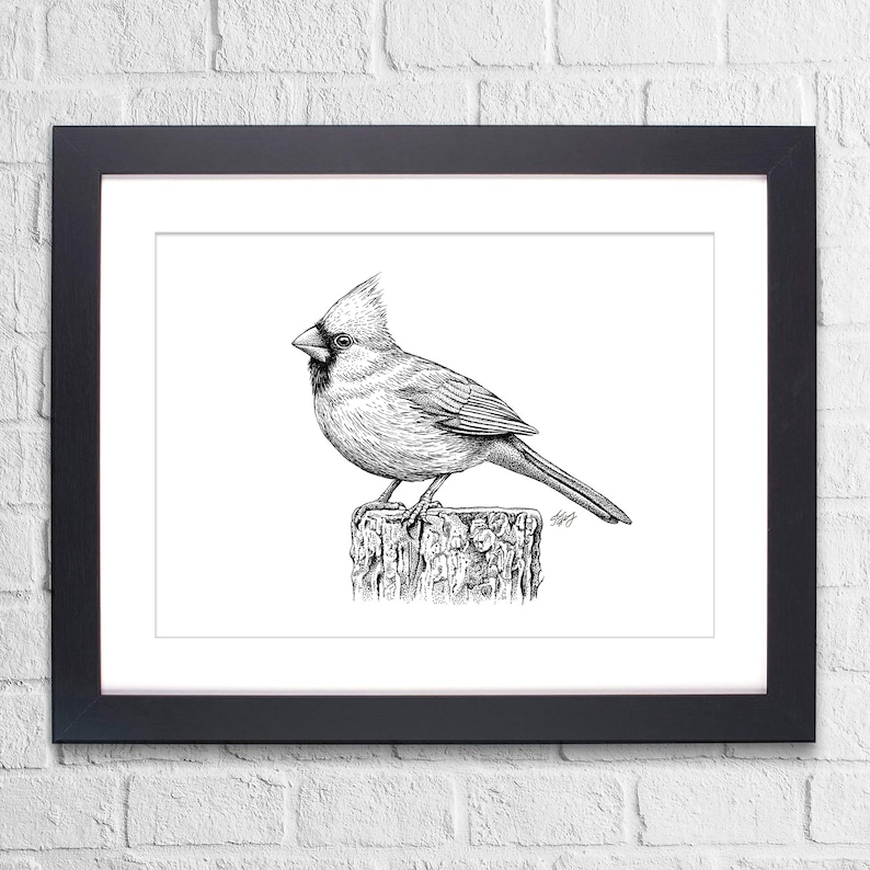 Cardinal, Pen and Ink Print, Whimsical Nature Art, Black and White ...