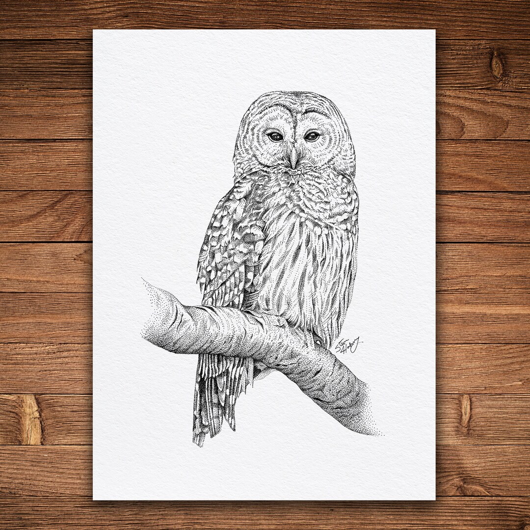 Owl, Pen and Ink Print, Nature Art, Black and White Vintage, Wall Art ...