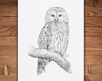 Owl, Pen and Ink Print, Nature Art, Black and White Vintage, Wall Art, Bird