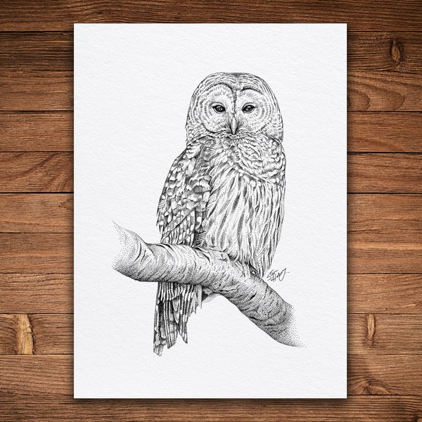 Owl, Pen and Ink Print, Nature Art, Black and White Vintage, Wall Art, Bird