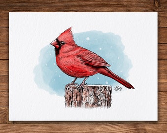 Cardinal, Color Version, Pen and Ink Print, Whimsical Nature Art, Vintage, Bird Decor, Winter