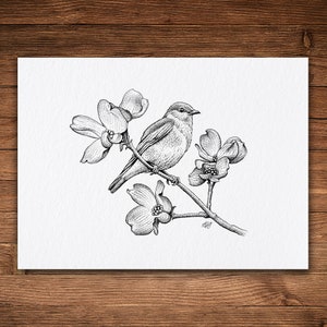 Songbird, Pen and Ink Print, Whimsical Nature Art, Black and White Vintage, Botanical, Bluebird