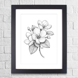 Apple Blossom Flowers, Pen and Ink Print, Floral and Nature Art, Black and White Vintage, Botanical Wall Art image 2