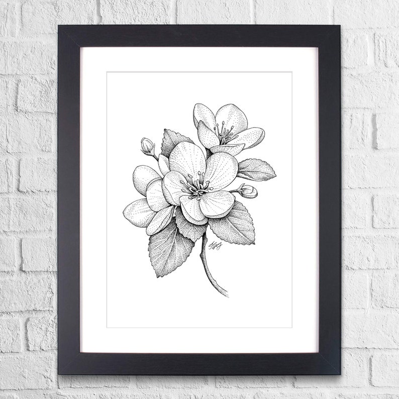 Apple Blossom Flowers, Pen and Ink Print, Floral and Nature Art, Black and White Vintage, Botanical Wall Art image 2