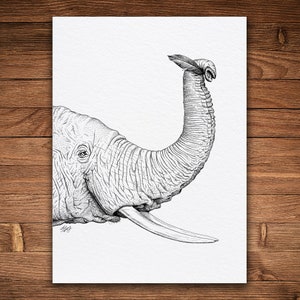 Pluma de elefante, impresión con pluma y tinta, arte animal y natural, vintage en blanco y negro, fantasía, Dumbo
