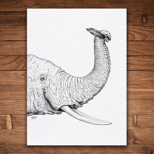 Elephant Feather, Pen and Ink Print, Animal and Nature Art, Black and White Vintage, Fantasy, Dumbo