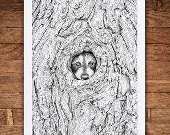Adorable Raccoon Pen and Ink Print, Woodland Animal Art, Cute Home Decoration, Monochrome