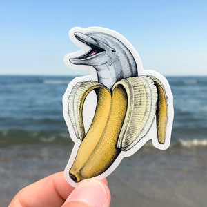 Dolphin Banana Vinyl Sticker, Pen and Ink Illustration, Funny Animal Art, Vintage Drawing