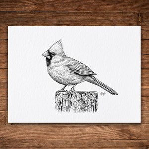 Cardinal, Pen and Ink Print, Whimsical Nature Art, Black and White Vintage, Bird Decor