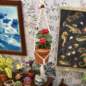 May include: A miniature terracotta pot containing a small green plant with bright red flowers, suspended in a white macrame hanger with a knotted cord design. The plant is displayed in a dollhouse setting with various other miniature potted plants.