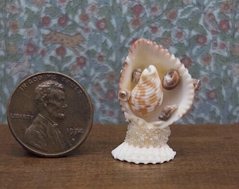 miniature seashell oddity in 1:12 scale