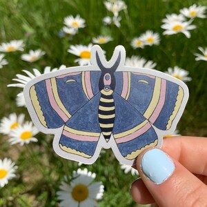 Puede incluir: Una pegatina con un diseño de polilla estilizada con alas azules, rayas rosas y amarillas y un cuerpo a rayas negro y amarillo. La cabeza de la polilla es detallada. La pegatina se sostiene frente a un fondo de margaritas.