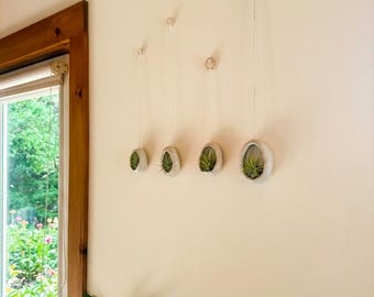 Soportes para plantas aéreas