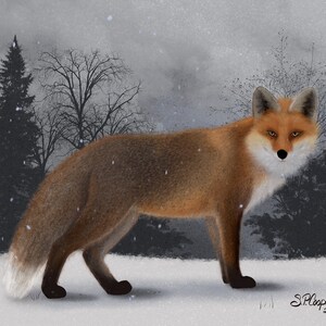 Winter Fox