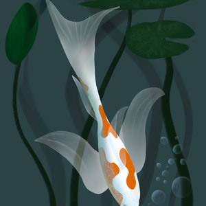 White Koi