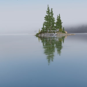 Isolation #2