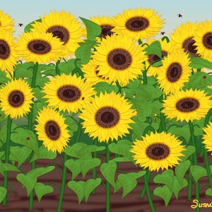 Field Of Sunflowers