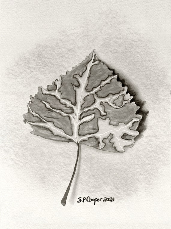 Leaf Sketch Etsy