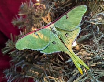 Highly Realistic Luna Moth Figurine With Clip
