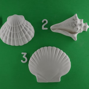 May include: Three white ceramic seashell shapes, numbered 1, 2, and 3, are displayed against a vibrant green background. The shells include a scallop, a conch, and a fan-shaped shell, offering a variety of coastal decor options.