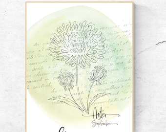 September Birth Flower / Birth Month Flower / Aster / Asters / Downloadable Print  / Birth Flower / Floral Printable Art