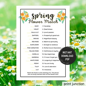 Spring Flower Trivia Match Up Game, Printable Springtime Games, Party Games, Spring Activities For Kids And Adults, Fun Spring Games