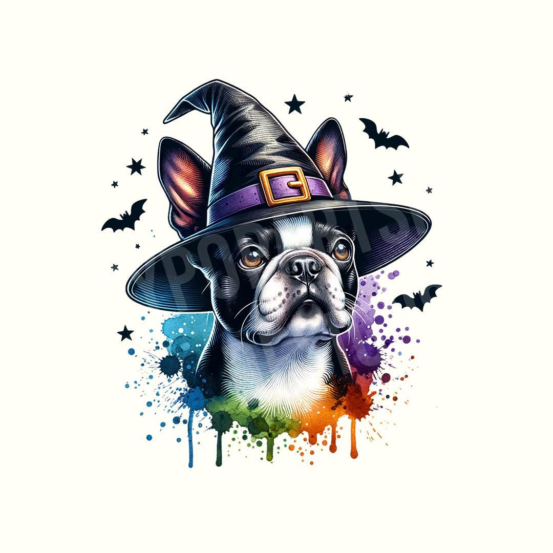 Halloween Png, Boston Terrier, Boston Terrier Shirt,Halloween dog shirt,Witch Png,Halloween Shirt,Halloween Clipart,Digital Download,Dog Png