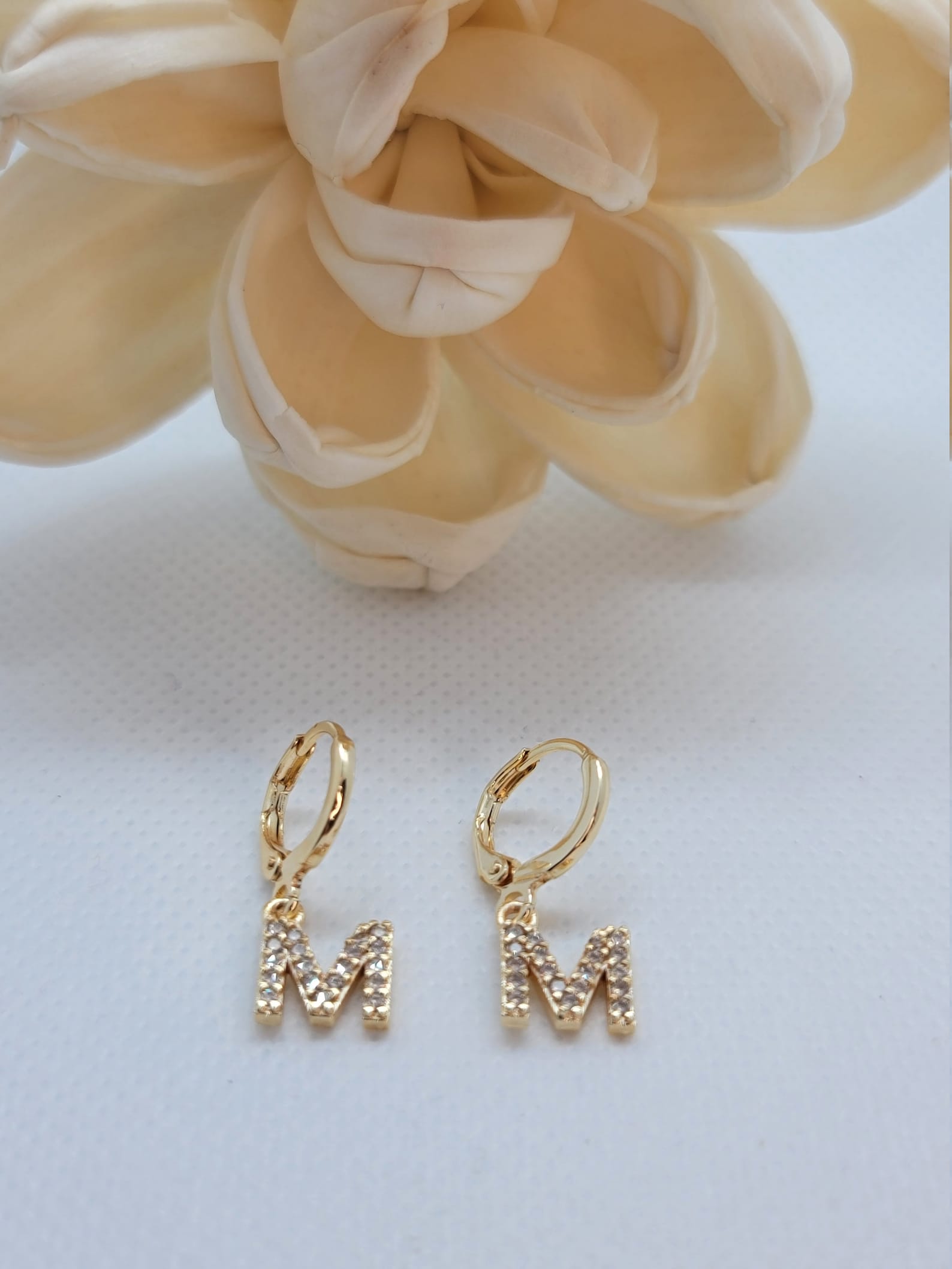 Initial Letter EarringCustom EarringGold EarringHoop Etsy